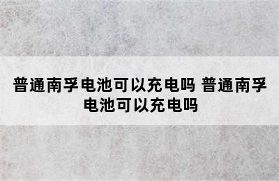 普通南孚电池可以充电吗 普通南孚电池可以充电吗